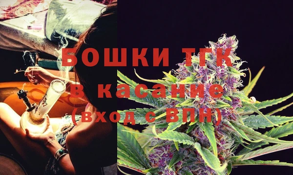 винт Абаза