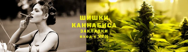 винт Абаза