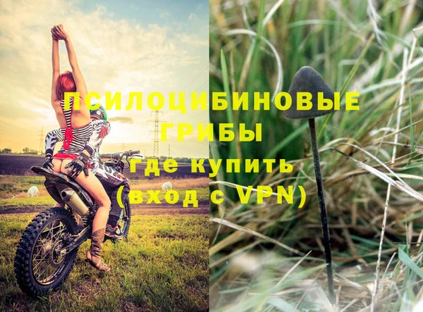 стафф Абинск