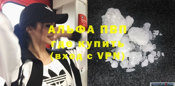 винт Абаза