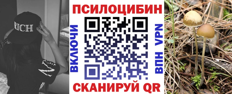ссылка на мегу tor  Лиски  Галлюциногенные грибы MAGIC MUSHROOMS 