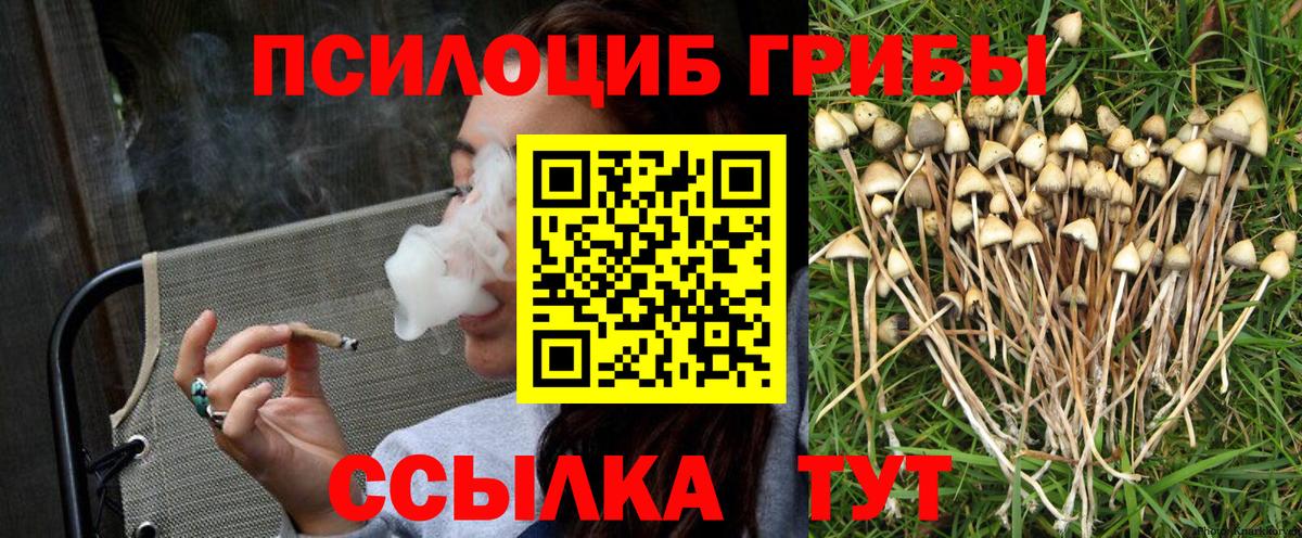 Галлюциногенные грибы Psilocybine cubensis Лиски